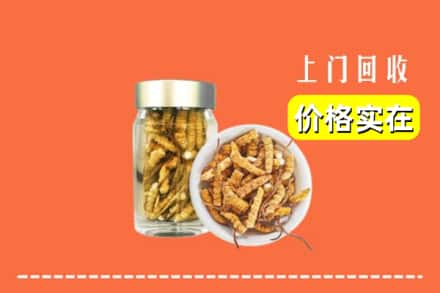 习水县回收散虫草